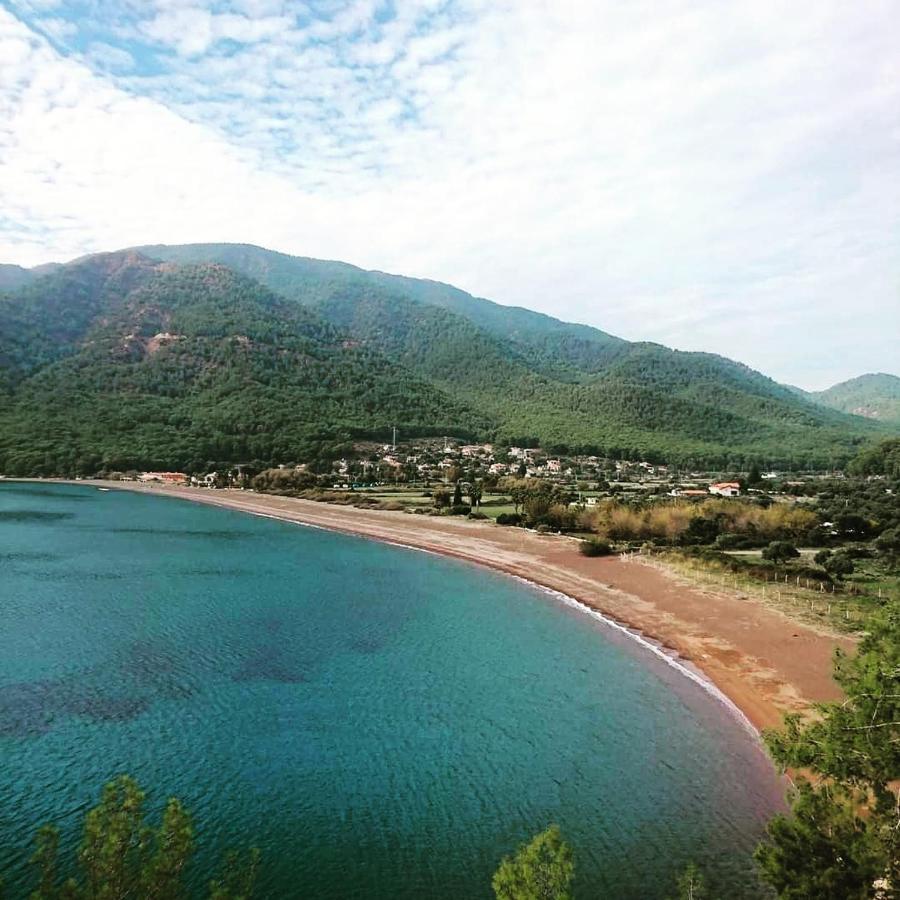 Olive Tree Apart Hotel Muğla Bagian luar foto
